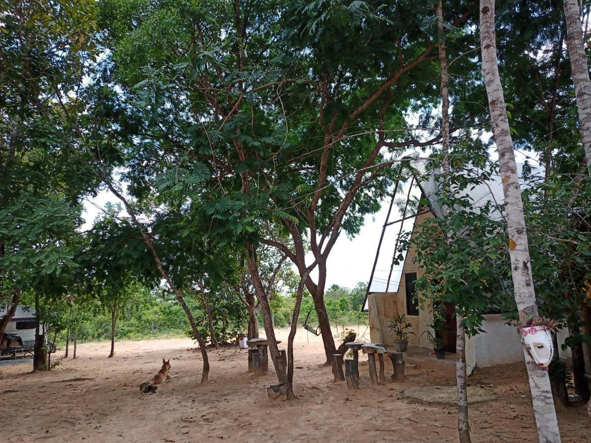 Refúgio do Raiz Camping Carolina  Exterior foto