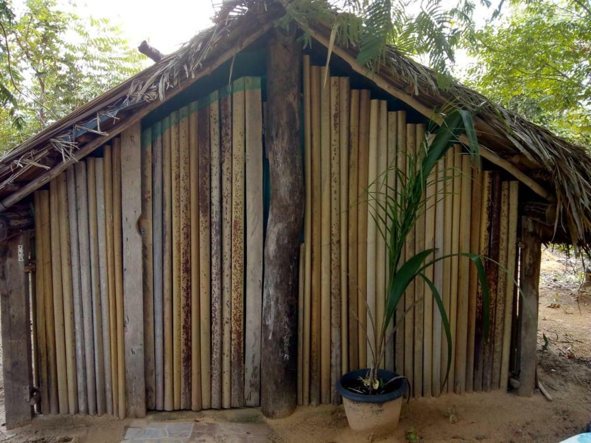 Refúgio do Raiz Camping Carolina  Exterior foto